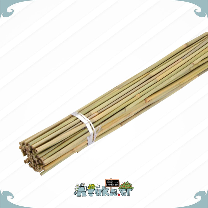 ХОБИ-ГРАДИНА - Leika.bg