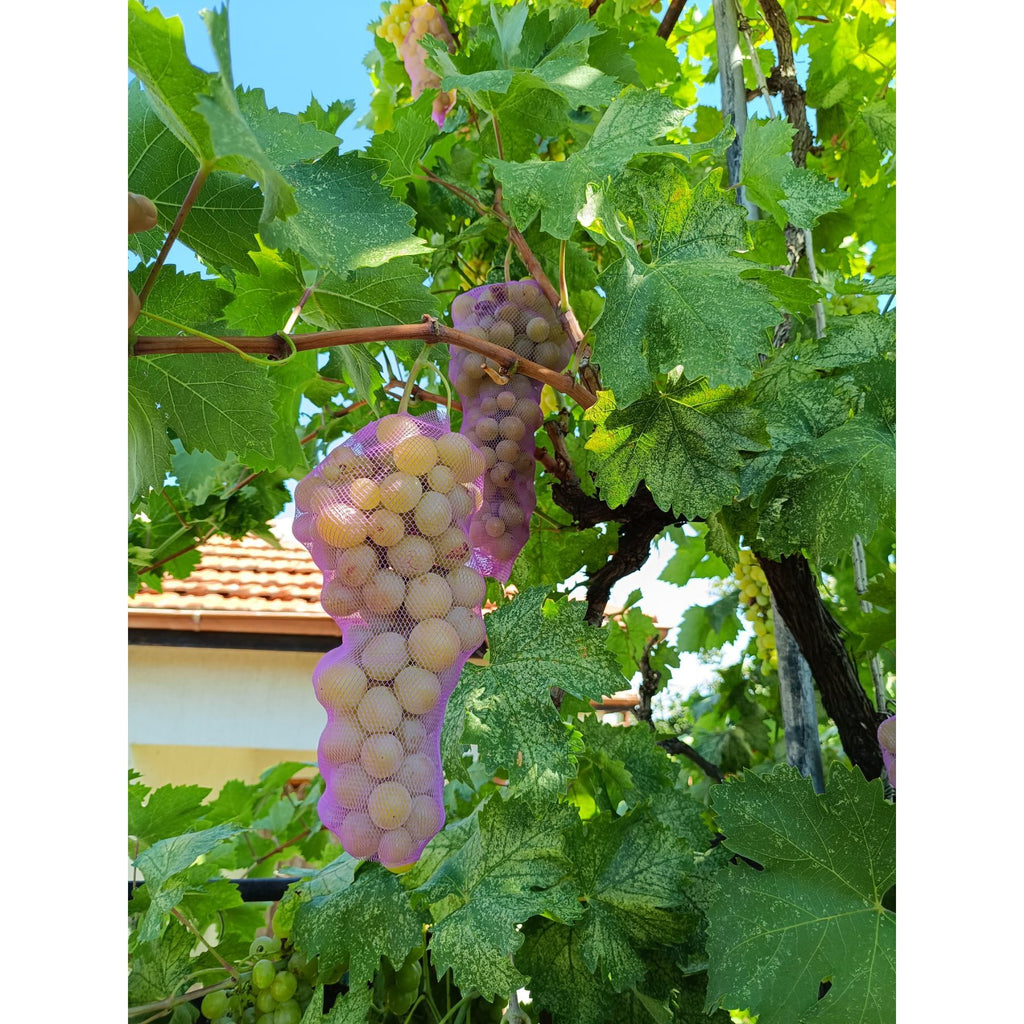 10м предпазна мрежа за защита оси и птици- лилава