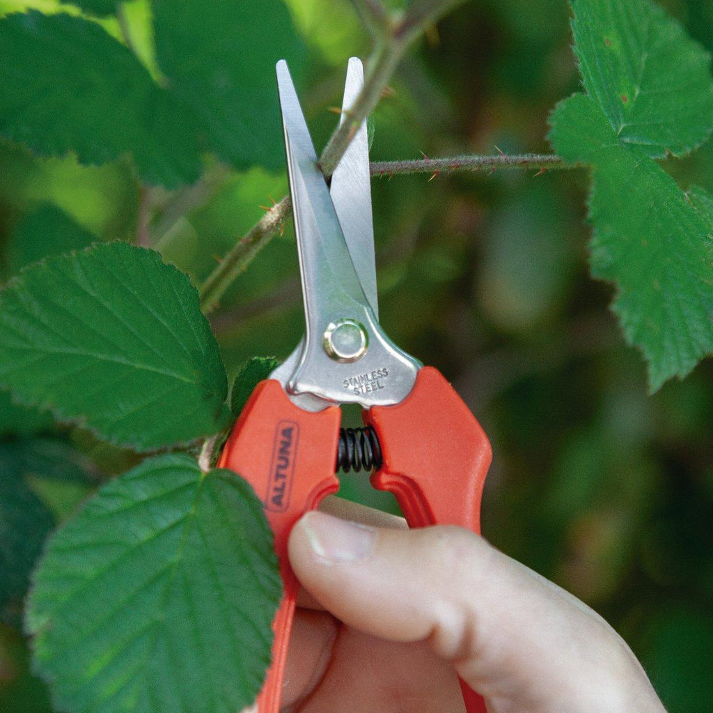 Ножица за беритба права, режеща глава от инокс, 180мм