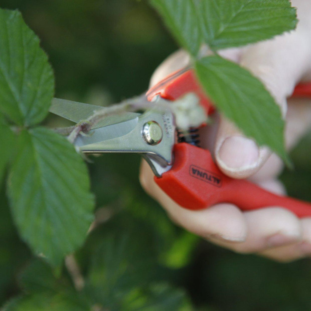Ножица за беритба права, режеща глава от инокс, 180мм
