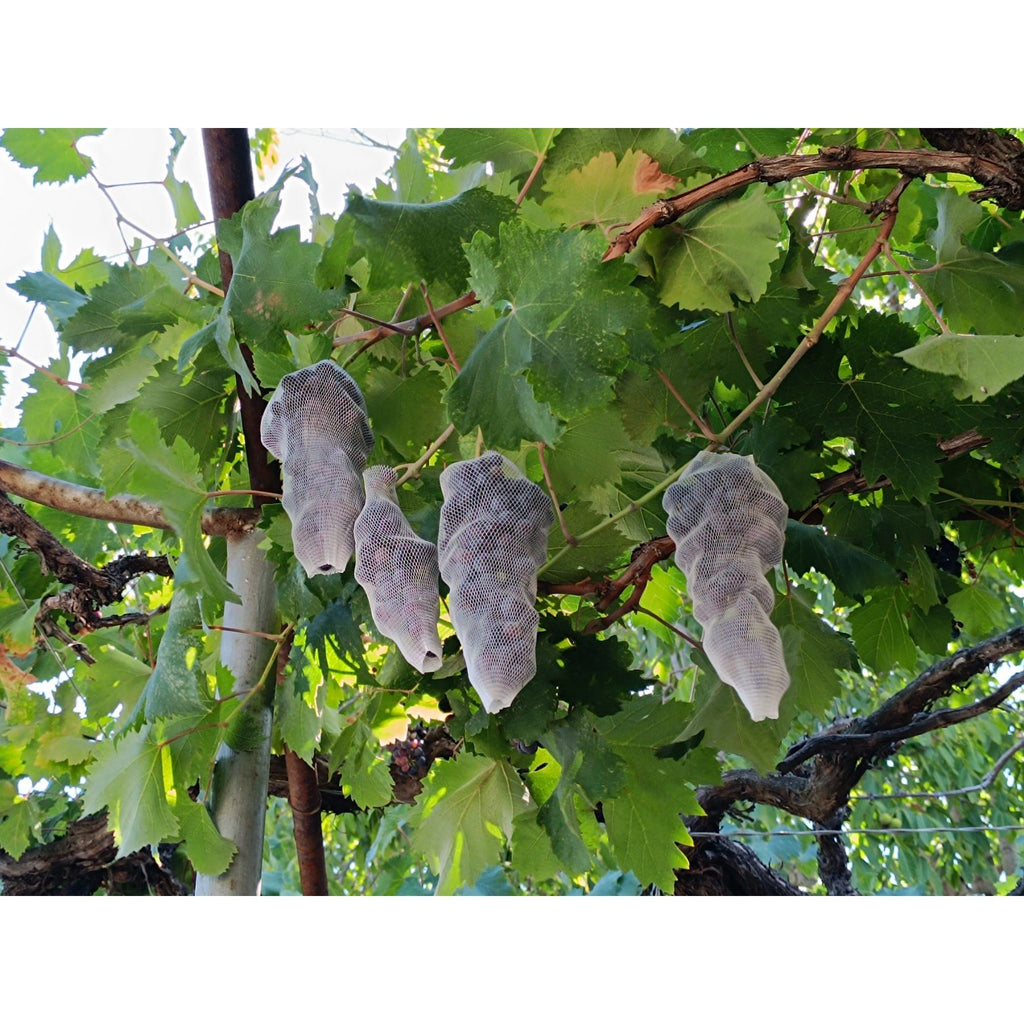 10м предпазна мрежа за защита оси и птици - бяла.