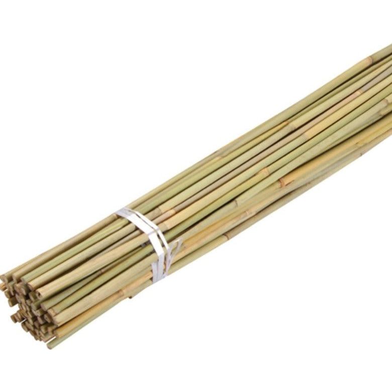 Бамбукови колци за домати, PLAIN BAMBOO CANE, 1.80м., 10бр