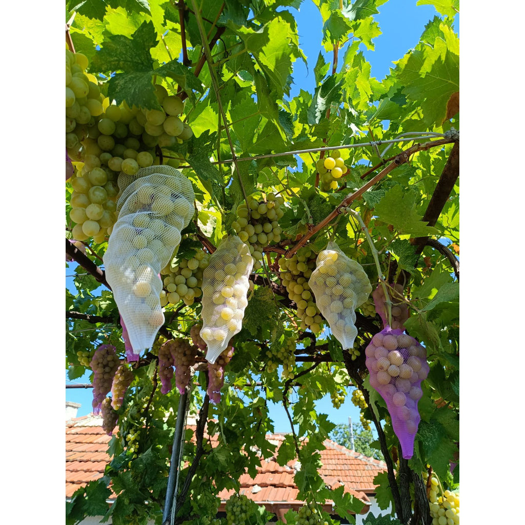 10м предпазна мрежа за защита оси и птици - бяла.