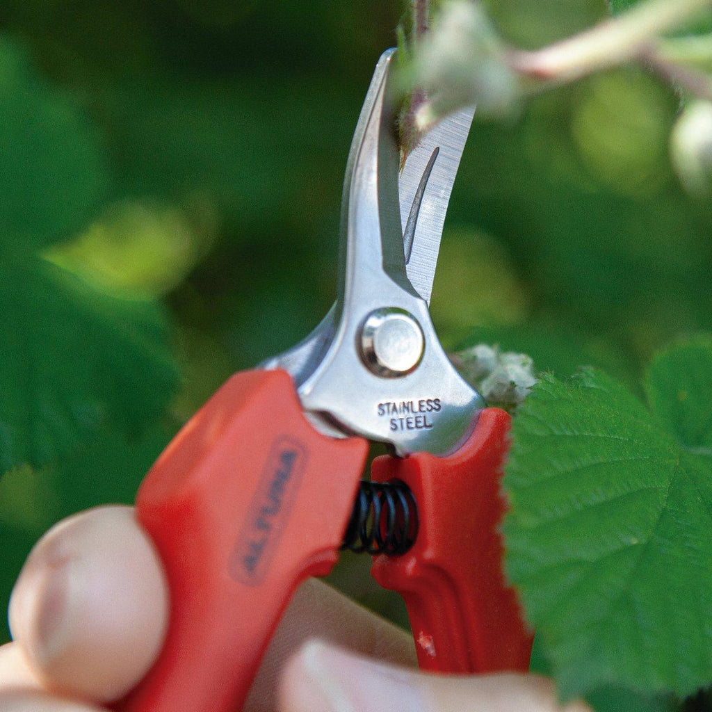 Ножица за беритба извита, режеща глава от инокс, 180 мм