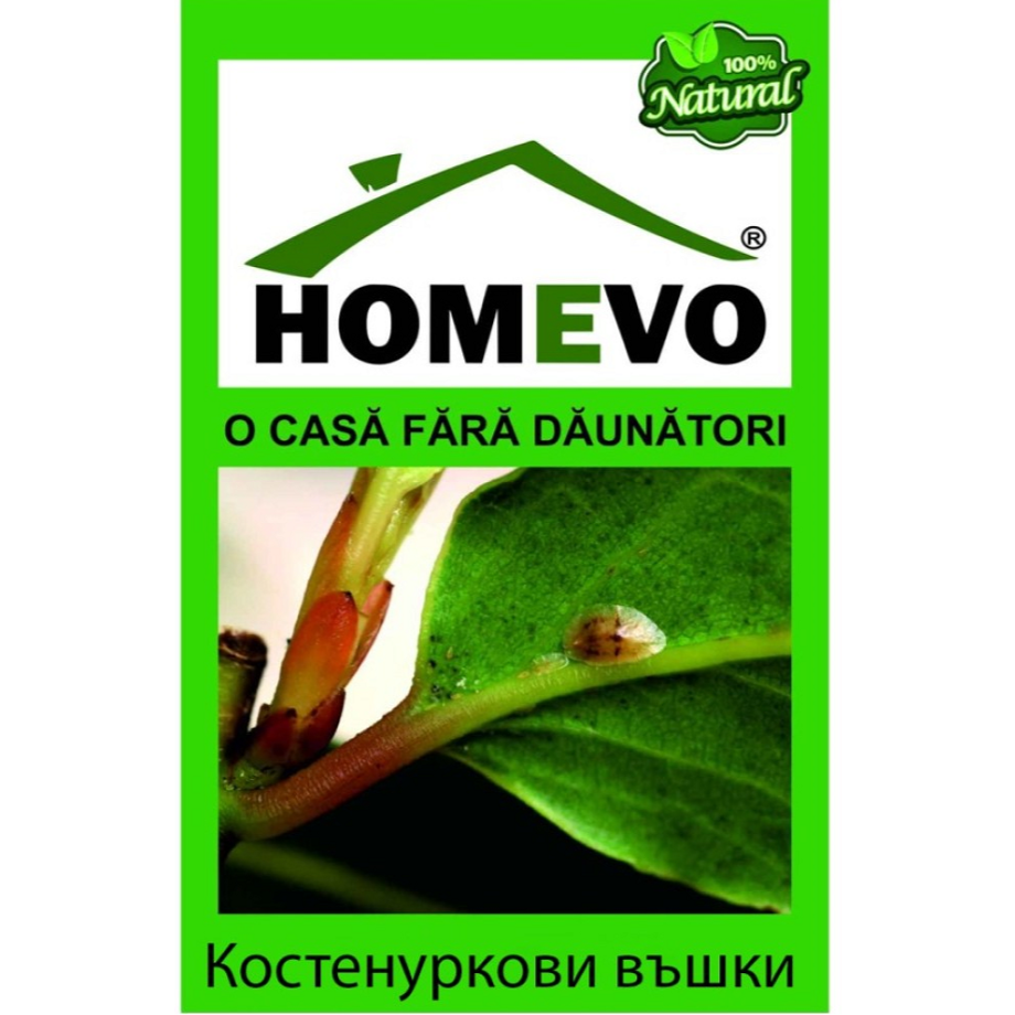 HOMEVO, Органичен препарат против щитоносни (костенуркови) въшки