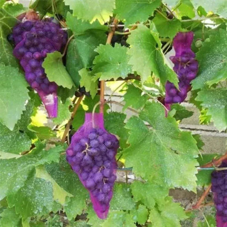 10м предпазна мрежа за защита оси и птици- лилава