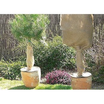 Покривало за зимна защита, NATUREROLL , ролка 1× 0 м