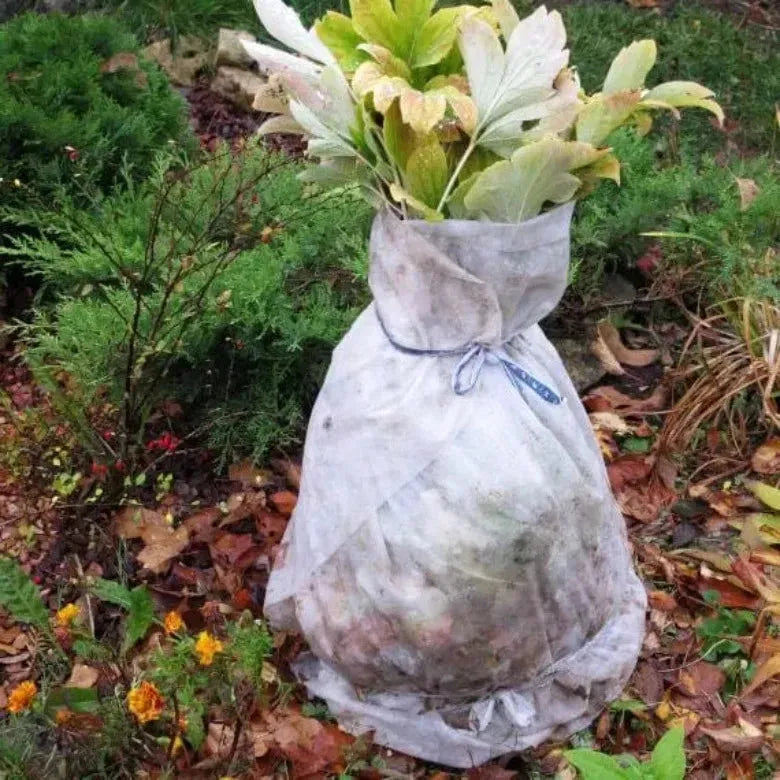 Зимно  градинско покривало за растения, 50gr/m2