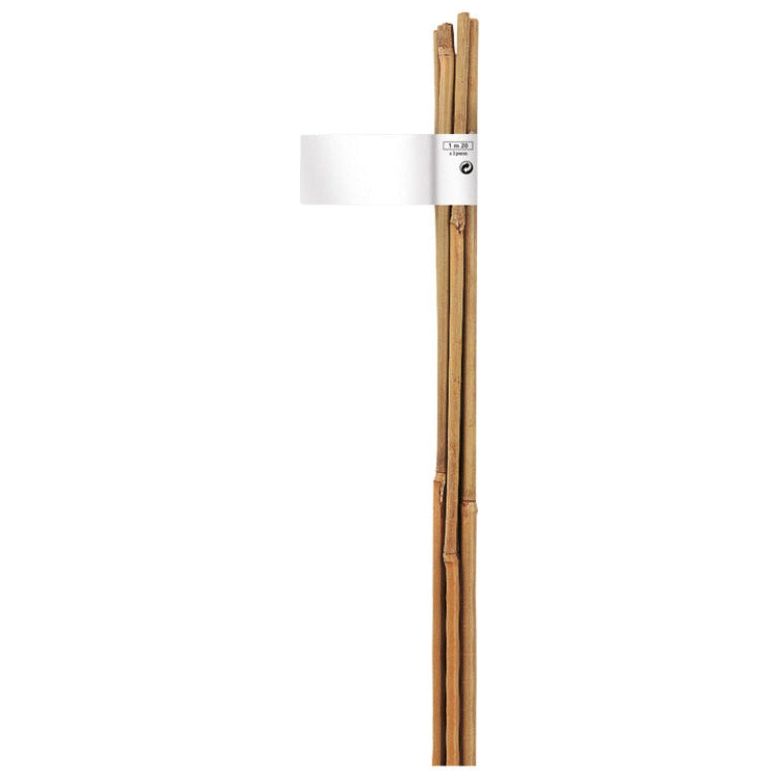 Бамбукови колчета, PLAIN BAMBOO CANE