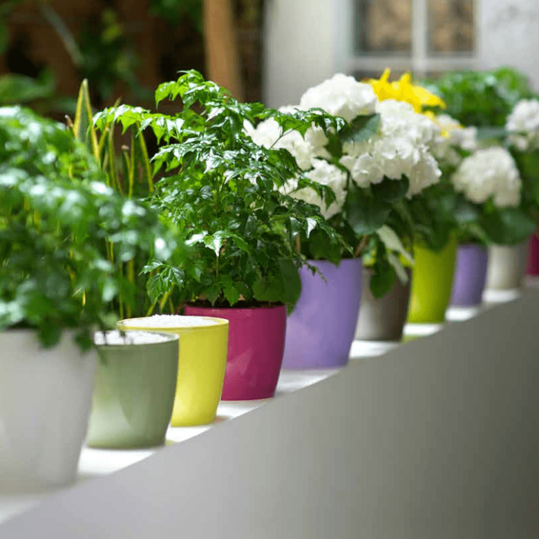 Кръгла кашпа MADEIRA LUXY 16