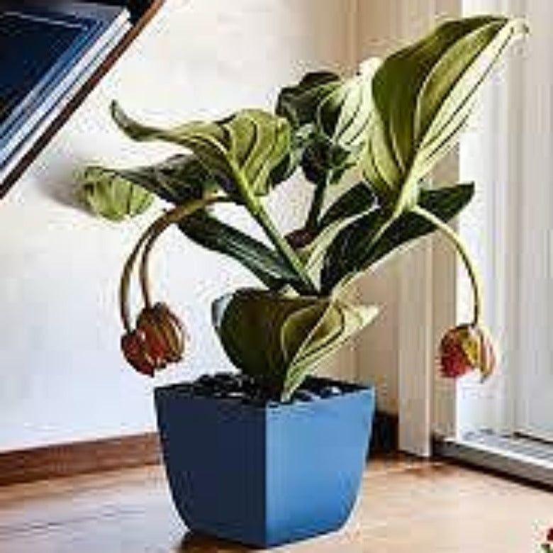 Квадратна кашпа SANTIAGO 15