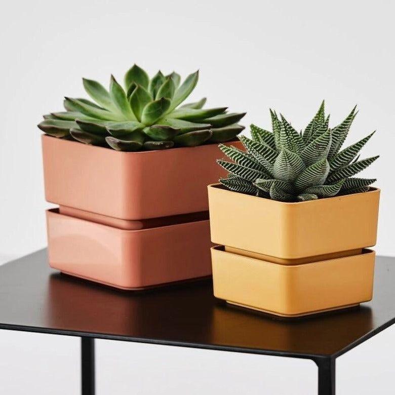 Квадратна саксия Veleta 12