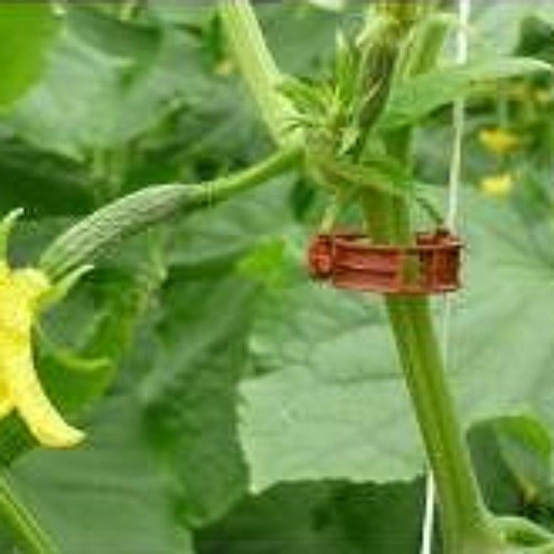 Скоби за домати и краставици 15 мм.